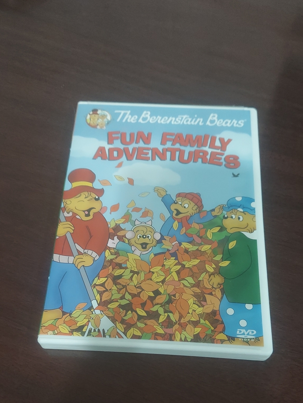 ❤️ The Berenstain Bears Fun Family Adventures DVD - Multicolor